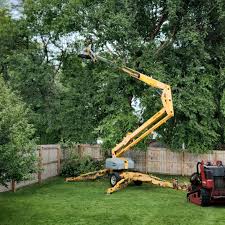 Trusted Millbrook, AL Tree Removal Experts